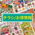チラシ・お得情報