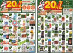 チラシイメージ