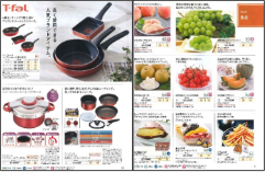 ブルーチップカタログイメージ