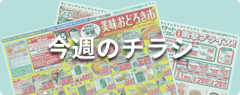 今週のチラシ