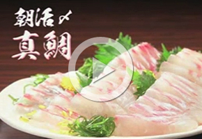 朝活〆真鯛
