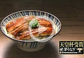 焼津うなぎ