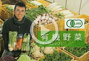 有機野菜（オーガニック）